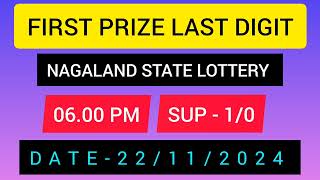 First Prize Last Digit 221124 Nagaland State Lottery Target Number Lottery Sambad Target Number [upl. by Nnaaras]