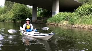 Kayaking the Sammamish Slough [upl. by Gamages]