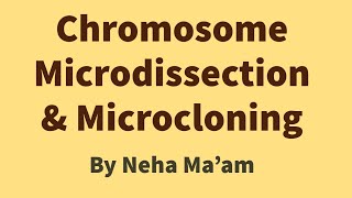 Chromosome Microdissection amp Microcloning [upl. by Halden894]