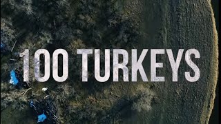 quot100 Turkeysquot  Higdon Short Films [upl. by Jaunita]