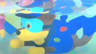 Bath Hygiene with Paw Patrol Paddlin Pups Paint Activity for Kids [upl. by Glenden893]