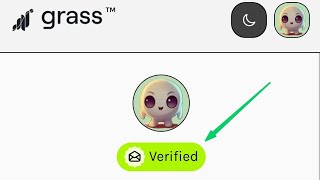 Verify Your Grass Wallet Address Successfully💫👍 [upl. by Einomrah468]