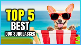 Top 5 Best Dog Sunglasses  Extreme Reviewer [upl. by Ellinger]