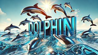 Amazing Dolphin Facts You Didnt Know [upl. by Padraic]