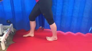 Ankle Exercise Gastroc Stretch [upl. by Amolap]