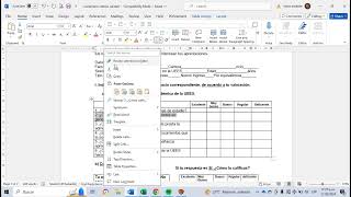 Elaboración de base de datos en Excel [upl. by Hcib]