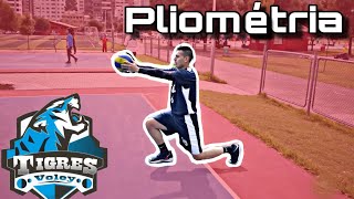 Ejercicios Pliométricos VOLEIBOL 🏐🆙 [upl. by Ammej]