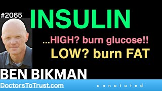 BEN BIKMAN r4  INSULIN …HIGH burn glucose LOW burn FAT [upl. by Mcclees]