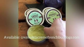 Applying Snout Soother and Wrinkle Balm to French Bulldogs [upl. by Constancy]