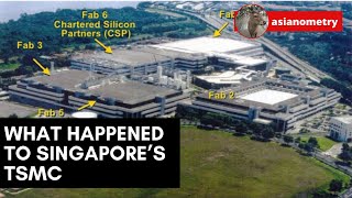 What Happened to Singapores TSMC [upl. by Denae]