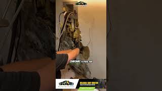 Black Mold is Most Toxic shorts mold moldremediation blackmold [upl. by Benge28]