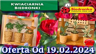 𝐁𝐈𝐄𝐃𝐑𝐎𝐍𝐊𝐀 🐞 Kwiaciarnia Biedronki Nowa Oferta Od 19022024  Kwiatowe Inspiracje Biedronki [upl. by Lodmilla]