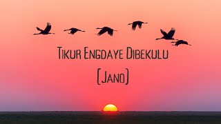 Tikur Engdaye Dibekulu Jano [upl. by Endora617]