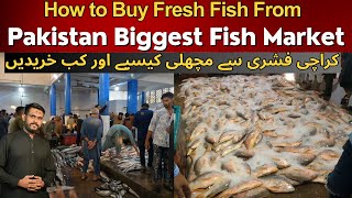 How to buy Fish from Pakistans Biggest Fish Market Karachi Fishery  Karachi Fish Harbour Update [upl. by Anthia]