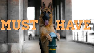 Things every German Shepherd owner needs [upl. by Andros]