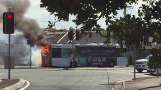 Translink bus catches fire [upl. by Livvy]