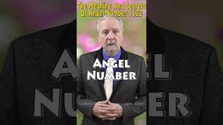 1122 Angel Number Meaning And Secrets numerology relationshipadvice angelnumber love shorts [upl. by Yaakov471]