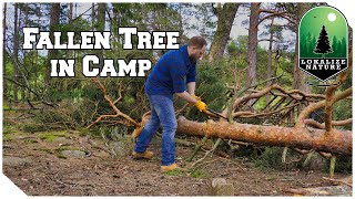 Fallen Tree in Our Camp  Campsite Chaos [upl. by Penney994]