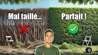 Comment Tailler et Ramasser une Haie FACILEMENT TOUTES mes Astuces de Pro [upl. by Nalhsa]