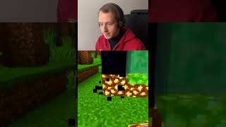 🧐 VRAI OU FAUX 🧐 jeuxvidéo minecraft [upl. by Tipton]