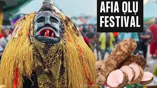 🌍AFIA ỌLỤ — NEW YAM FESTIVAL 🎭  An Igbo Festival to Live for [upl. by Ahsyia]