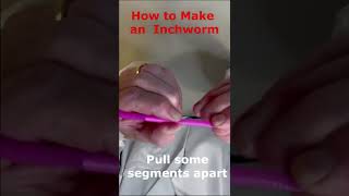 Inchworms are Incredible How to Make An Inchworm [upl. by Bathulda]