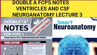 Double A Fcps notes Neuroanatomy Ventricles and CSF [upl. by Afinom229]