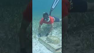 Rare view of under ocean🌊🌊🤣 funny viralvideo youtubeshorts underwaterworld [upl. by Levan654]