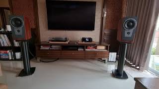 Dynaudio contour S14 x Naim Uniti Atom x Chalus Audio Design x Fidelizer NimitraNikolaEtherstream [upl. by Ginder821]