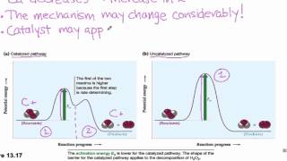 135 Catalysis [upl. by Aicerg]