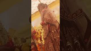 Hamari shadi mainmarriage song 🥰🥰😍😍😍♥️♥️🌹🌹💘💘 [upl. by Tracee]