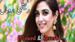 Rashmi Romal new Saraike Song Slowed and Reverb  Ameer Niazi song  Saraike Slowed and Reverb 🎉 [upl. by Vial]