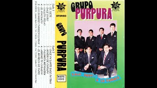 Grupo Purpura de Ovalle  Dale duro A la Cumbia [upl. by Ennahgiel]