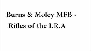 Burns amp Moley MFB  The rifles of the IRA [upl. by Zobias2]