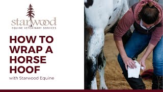 How to Wrap your Horses Hoof [upl. by Alarise]