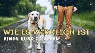 Ein Leben mit Hund Wie ist es es wirklich mit einem Hund zusammenzuleben [upl. by Yrak349]