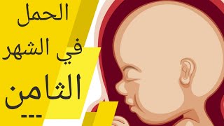 الحمل في الشهر الثامن alhaml fi chahr 8  الجنين في الشهر الثامن  أعراض الحمل في الشهر الثامن [upl. by Eneloc576]