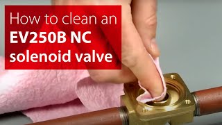 How to clean inside a Danfoss EV250B NC solenoid valve  Stepbystep instructions [upl. by Leahcimnaj286]