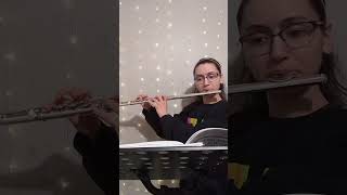 Bartók Concerto for Orchestra mvt IV Flute Excerpt flute classicalmusic [upl. by Teuton]