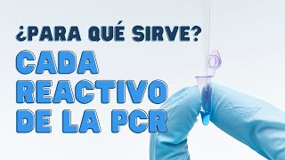 🧬🧬🧬 FUNDAMENTOS de los REACTIVOS de la REACCIÓN EN CADENA DE LA POLIMERASA PCR 🧬🧬🧬 [upl. by Kennett]