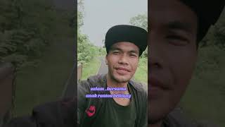 Salam hangat dari Youtuber belitung alampedesaanyangindah [upl. by Ahseken]