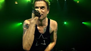 Die Toten Hosen  Pushed Again Live in Düsseldorf [upl. by Eceerehs]