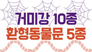 학습하기문강목과 생물분류기사 동물 15종 거미강10환형동물문5 [upl. by Eppilihp]