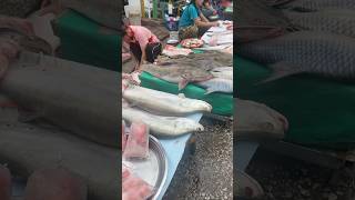 Luangprabang morningmarket laos 2024 streetfood [upl. by Ahsikahs]