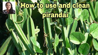 பிரண்டை சுத்தம் செய்வது எப்படி   How to clean Pirandai  Adamant creeper [upl. by Aceber]