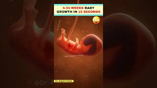 Baby Development from 4 to 34 Weeks – What’s Happening Inside pregnancy baby shorts love [upl. by Aihtnis]