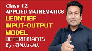 Leontief input output model 02  Word problems  Class 12 Applied Maths [upl. by Paulie]