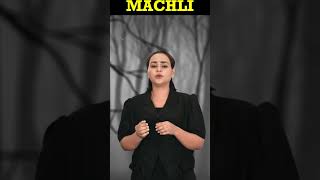 All About MachliThe Queen of Ranthambore wilderness machli ranthamboretigerreserve hindi [upl. by Ahsaei]