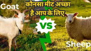 Which Meat is better Goat or Sheep  lamb meat vs goat meat taste Nutrients 🍖 etc In Hindi [upl. by Belldas]