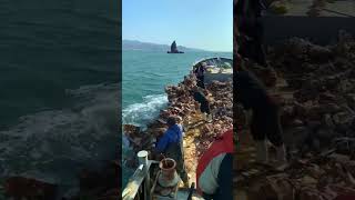 The process of throwing sandbags from a ship into the sea [upl. by Lundgren]